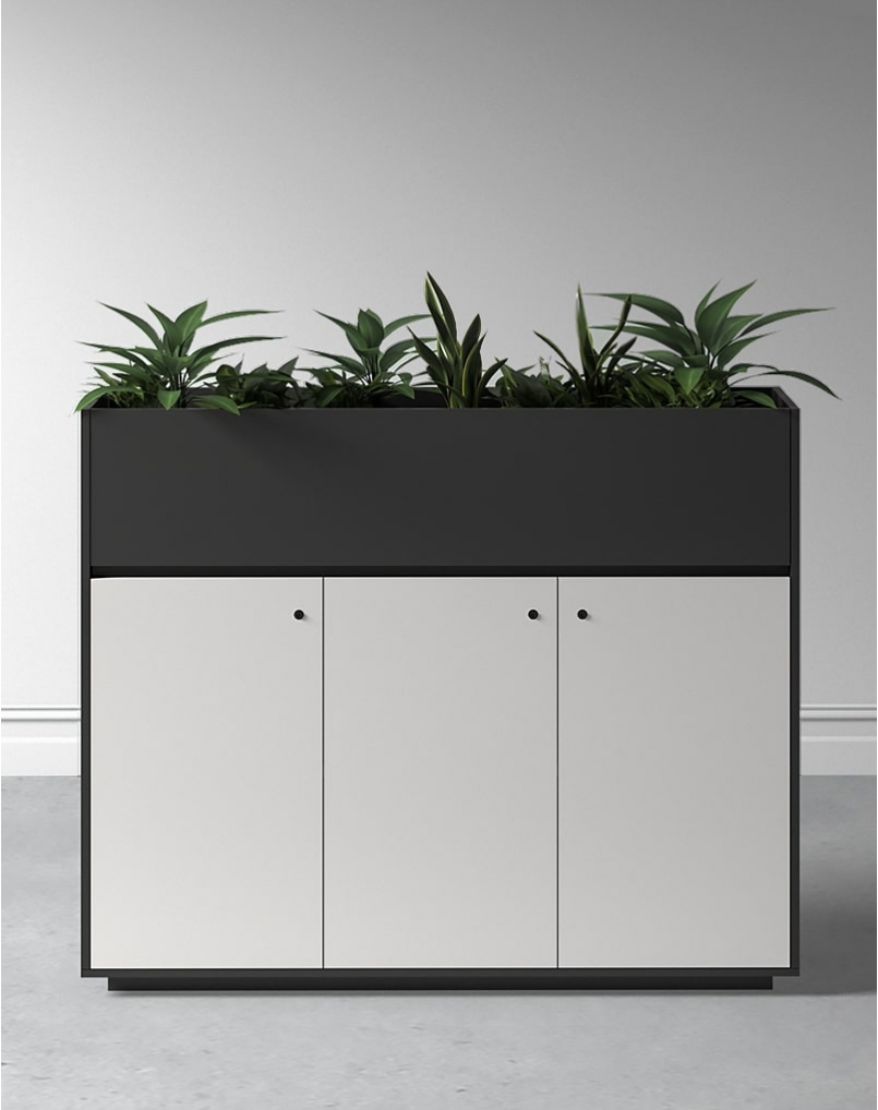 Cabinet 09